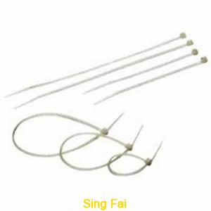 1280521